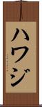 Hawaj Scroll