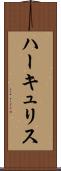 ハーキュリス Scroll