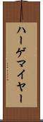 ハーゲマイヤー Scroll