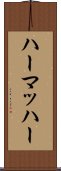 ハーマッハー Scroll