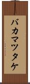 バカマツタケ Scroll