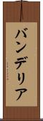 バンデリア Scroll