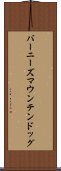 バーニーズ・マウンテン・ドッグ Scroll