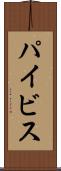 パイビス Scroll