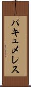 パキュメレス Scroll