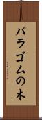 パラゴムの木 Scroll