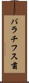 パラチフス菌 Scroll