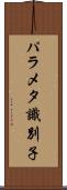 パラメタ識別子 Scroll