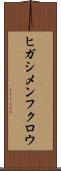 ヒガシメンフクロウ Scroll