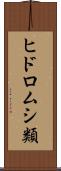 ヒドロムシ類 Scroll