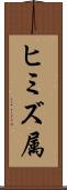 ヒミズ属 Scroll