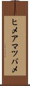 ヒメアマツバメ Scroll