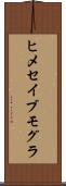 ヒメセイブモグラ Scroll