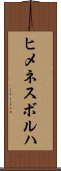 ヒメネスボルハ Scroll