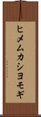 ヒメムカシヨモギ Scroll