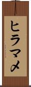 ヒラマメ Scroll