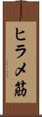 ヒラメ筋 Scroll