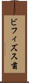 ビフィズス菌 Scroll