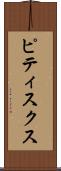 ピティスクス Scroll