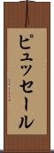 ピュッセール Scroll