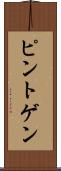 ピントゲン Scroll