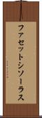 ファセットシソーラス Scroll