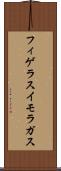 フィゲラスイモラガス Scroll