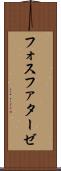 フォスファターゼ Scroll