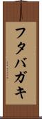 フタバガキ Scroll