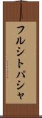 フルシトパシャ Scroll