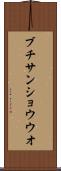ブチサンショウウオ Scroll