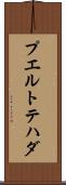 プエルトテハダ Scroll