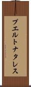 プエルトナタレス Scroll