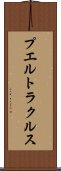プエルトラクルス Scroll