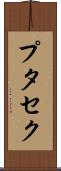 プタセク Scroll