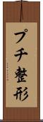 プチ整形 Scroll