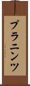 プラニンツ Scroll