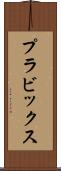 プラビックス Scroll