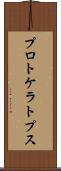 プロトケラトプス Scroll