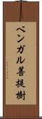 ベンガル菩提樹 Scroll