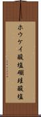 ホウケイ酸塩 Scroll