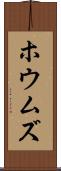 ホウムズ Scroll