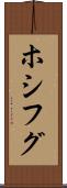 ホシフグ Scroll