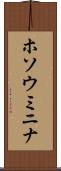 ホソウミニナ Scroll