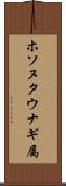 ホソヌタウナギ属 Scroll