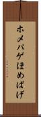 ホメパゲ Scroll