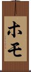 ホモ Scroll
