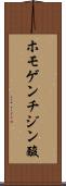 ホモゲンチジン酸 Scroll
