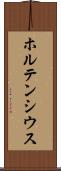 ホルテンシウス Scroll