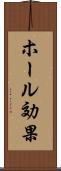 ホール効果 Scroll